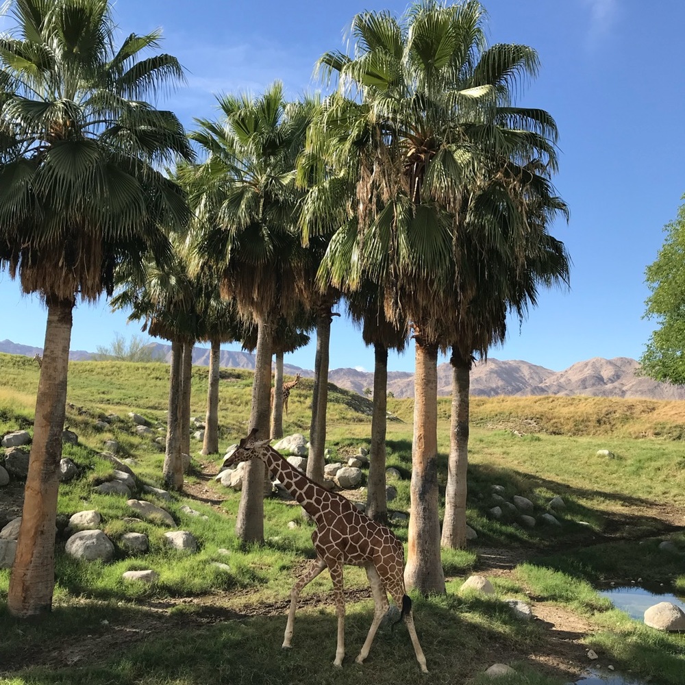 Meet your Posher, Seong